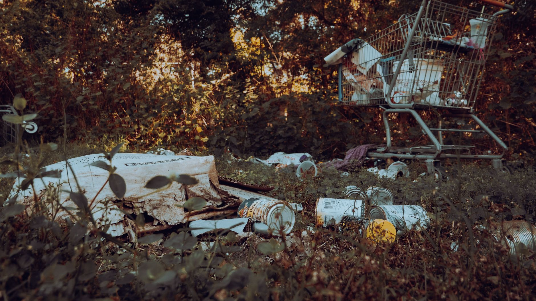 Discarded cart and trash in a forest, highlighting environmental pollution